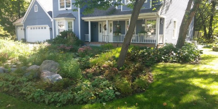 Mulch bed landscape transitional with flower chicago building