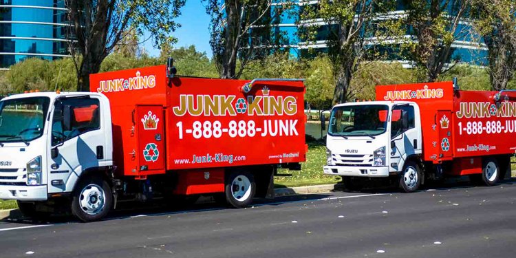 Yard Waste Disposal & Debris Removal | Junk King