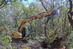 Land Clearing Sun City Center FL