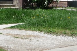 Over Height Grass & Weeds